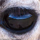 Illustration for article titled Otherworldly Images From emNational Geographic Traveler/ems Photo Contest